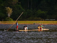 fenomena-unik-danau-tarusan-kamang