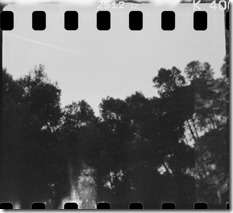 _MG_0627-Editar