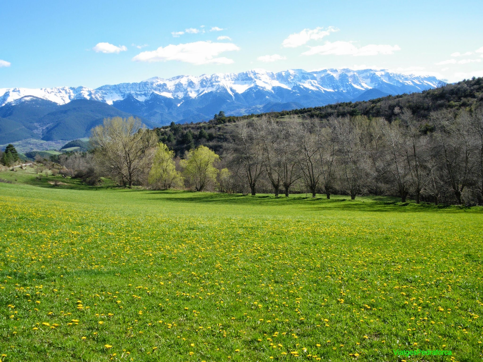 Serra del Cadí