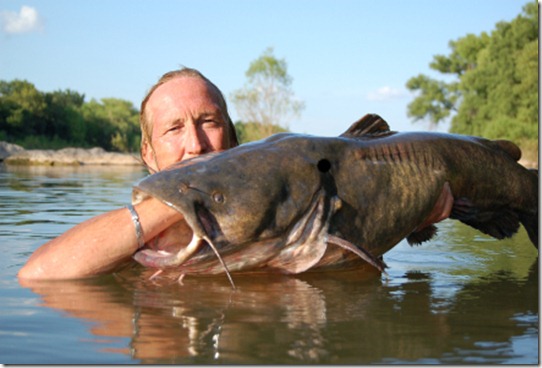 Noodling-Catfish