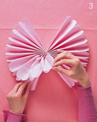 pap 06_pompom04