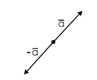 Negatif Sebuah Vektor