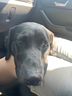 Esmee zit in de auto en hangt met haar kop op een in spijkerbroek gehulde knie. Ze kijkt met een rustige, wat vermoeide blik de camera in.