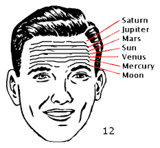 Signs On The Head - How to Read The Forehead