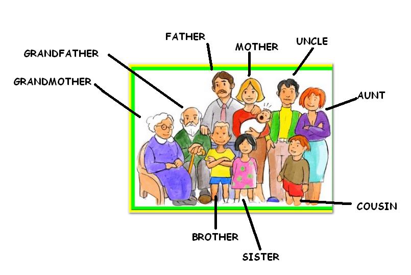 ENGLISH FAMILY  VOCABULARY