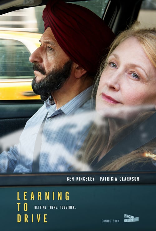 Ver Aprendiendo a conducir 2014 Pelicula Completa En Español Latino