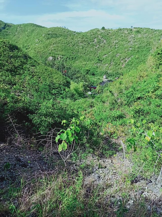 Puente Carmen #Cebu Lot for Sale - #Overlooking Mountain & Sea View For only 800.00 per sqm 