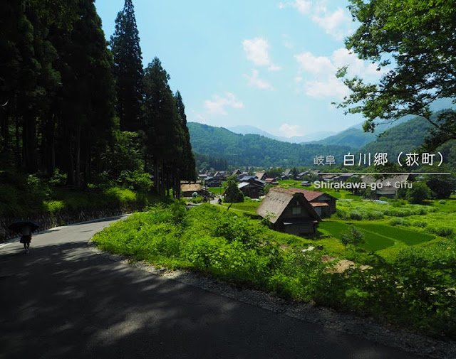 白川郷 荻町合掌造り集落（夏の風景）