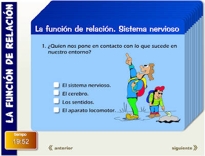 http://primerodecarlos.com/CUARTO_PRIMARIA/enero/Unidad7/actividades/naturales/activi_repaso2.swf