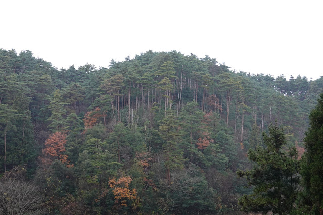 鳥取県西伯郡大山町赤松 赤松淀江線からの眺望