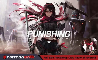 Full Size Punishing Gray Raven