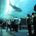 world largest aquarium