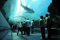 world largest aquarium