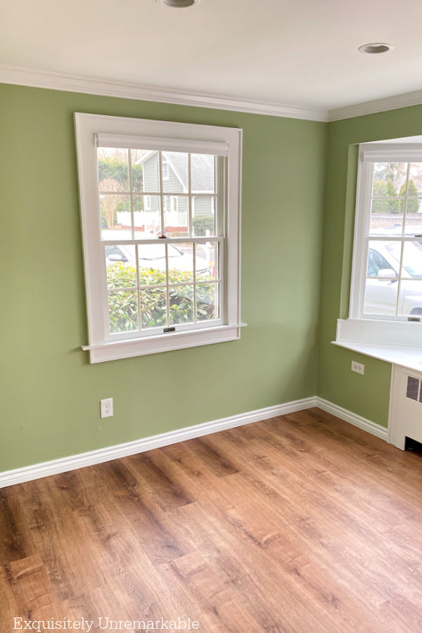 Green Painted Living Room