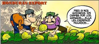 Banegas melon worker cartoon