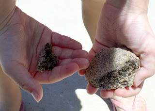 A close-up of one of Tessa's changed rocks.