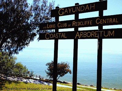 Walking at Woody Point