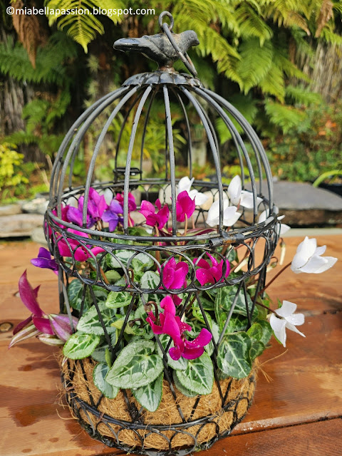 DIY Birdcage Planter