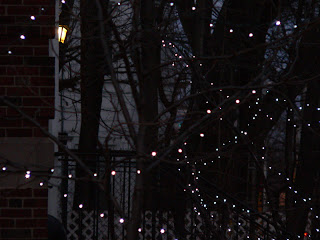 christmas lights on harvard street copyright kerry dexter