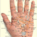 Human disease - Stimulate the Internal organs on Your Hand to cure your health