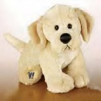 yellow lab retired webkinz