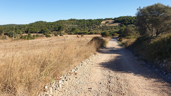 Foti Meadows makes for easy walking at the start and end of the walk