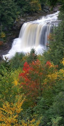 Blackwater Falls State Park, West Virginia and 50+ Secret Places in America That Most Tourists Don't Know About