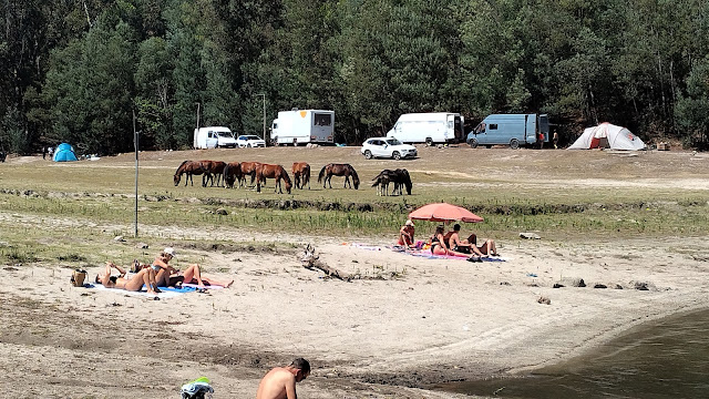 Praia Fluvial do Ermal permite animais