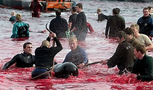 Brutality as a Ceremonial Act disturbing images