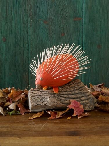 funny animal pumpkin without carving