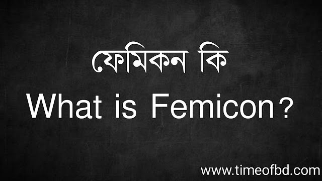 ফেমিকন কি | What is Femicon? ফেমিকন কি | What is Femicon?