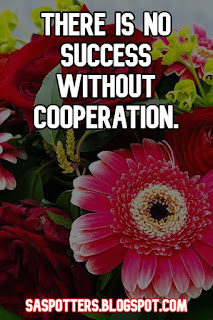 There is no success without cooperation.