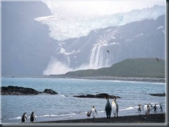 image002