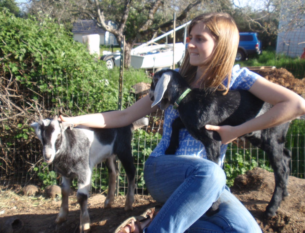 Solar Living Urban Homesteading How to Raise Backyard Goats