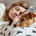 Μήπως ο σκύλος σας είναι υπεύθυνος για τον διαταραγμένο ύπνο σας;