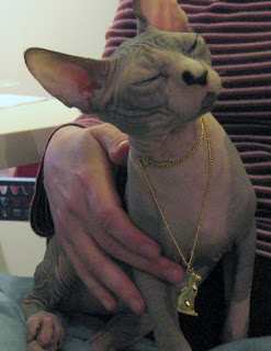 Dragonheart with Bastet Necklace