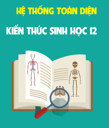 HỆ THỐNG TOÀN DIỆN  KIẾN THỨC SINH 12 - Sách 123 Full 