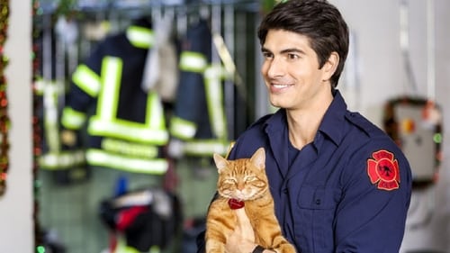 The Nine Lives of Christmas 2014 ver online