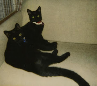 Mr. Spooky and Miss Chilipepper 1998