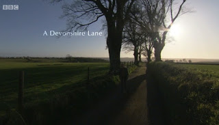 A Devonshire Lane