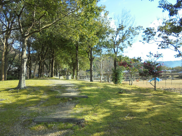 東郷湖羽合臨海公園あやめ池公園