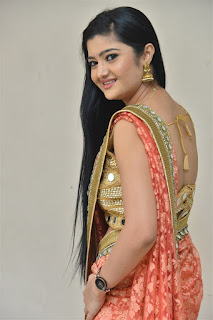 Akshitha Saree Pics at Prasnistha Movie First Look Launch Press Meet