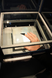 Moon Rock