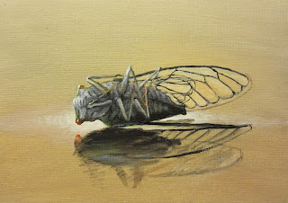Î‘Ï€Î¿Ï„Î­Î»ÎµÏƒÎ¼Î± ÎµÎ¹ÎºÏŒÎ½Î±Ï‚ Î³Î¹Î± cicada painting