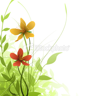 Gambar Handcreative Vektor Bunga Gambar Undangan di ...