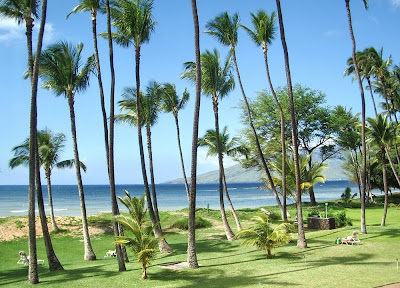 Kihei and Wailea, Maui Hawaii condos and beaches