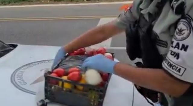 GN aseguró paquete de aparente marihuana en una caja con frutas y verduras