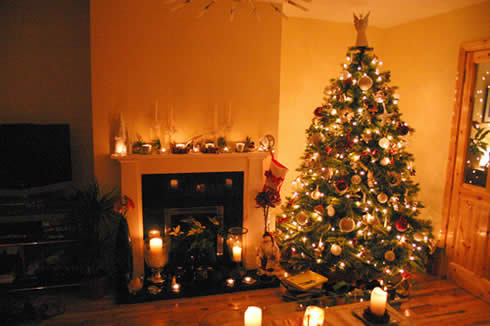 Indoor Home Decorating Ideas on House  Indoor Christmas Decorations  Indoor Christmas Decoration Ideas