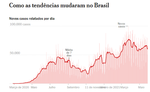 Casos dia Brasil