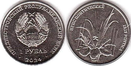 Transnistria 1 ruble 2024 - Iris pontica